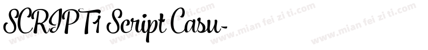 SCRIPT1 Script Casu字体转换